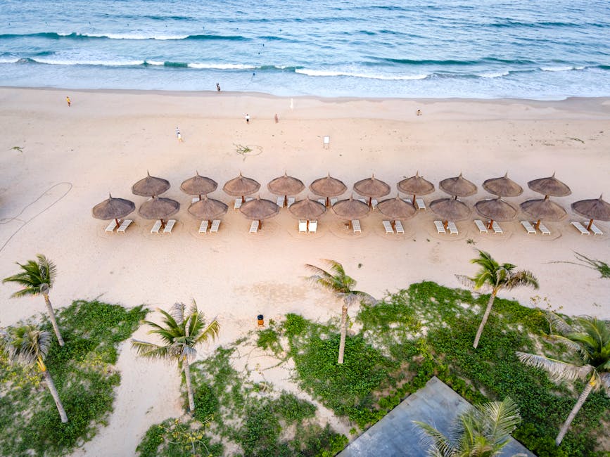aerial view of empty sandy beach in summer