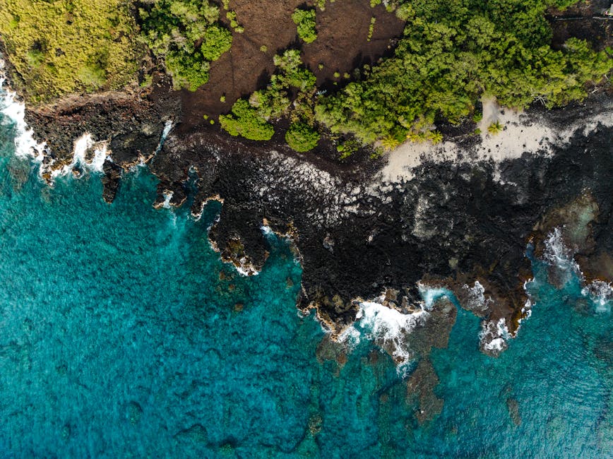 aerial view of volcanic coastline island
