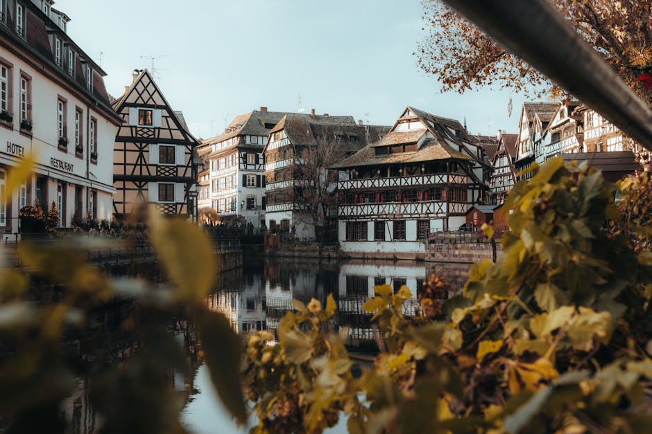 Alsace half-timbered houses autumn wine harvest
