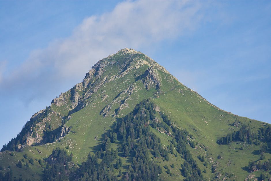 black forest mountain peak fieldberg