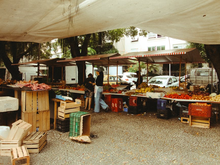 brazilian street market entrepreneur