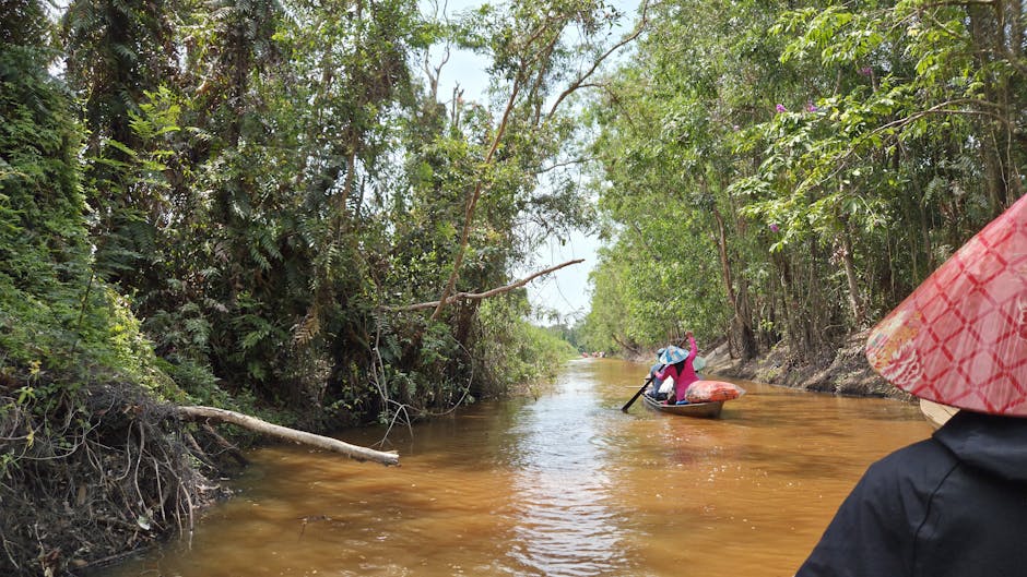 canal boat ride through lush green forest waterways