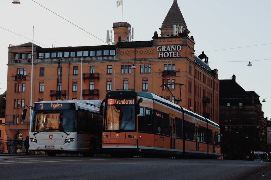 city tram and bus on street