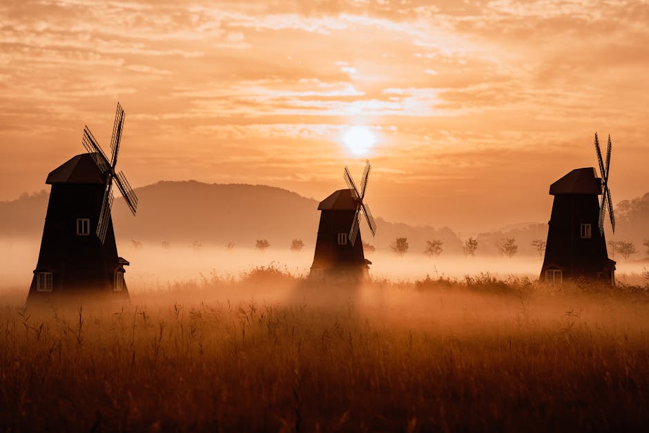 classic windmills in golden morning light