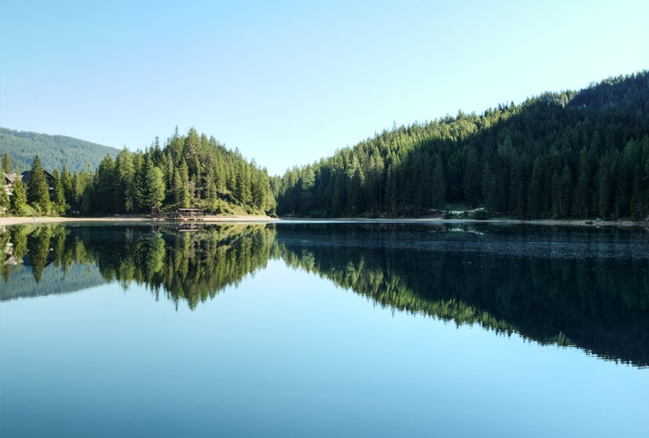 clear mountain lake with pine forest background