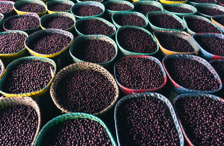 close up of frozen purple acai berries in market display