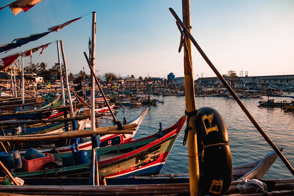 fishing boats at coastal harbor morning