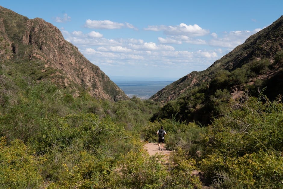 hiker on mountain trail with green valley view