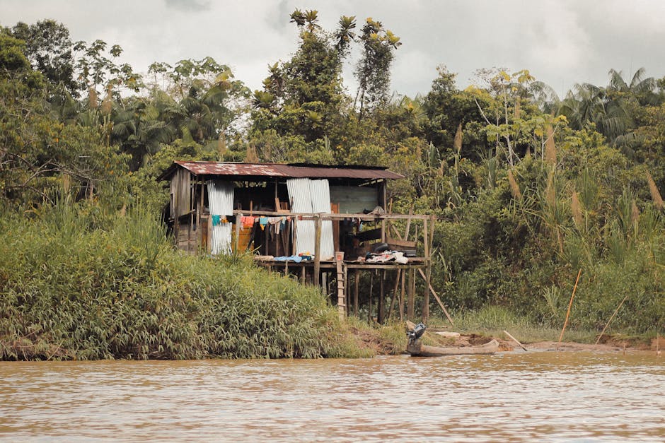 jungle lodge on stilts over river