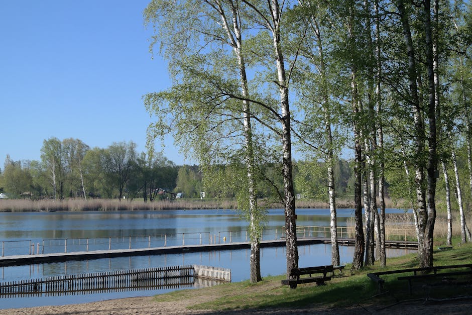 mazury forest path near small lake