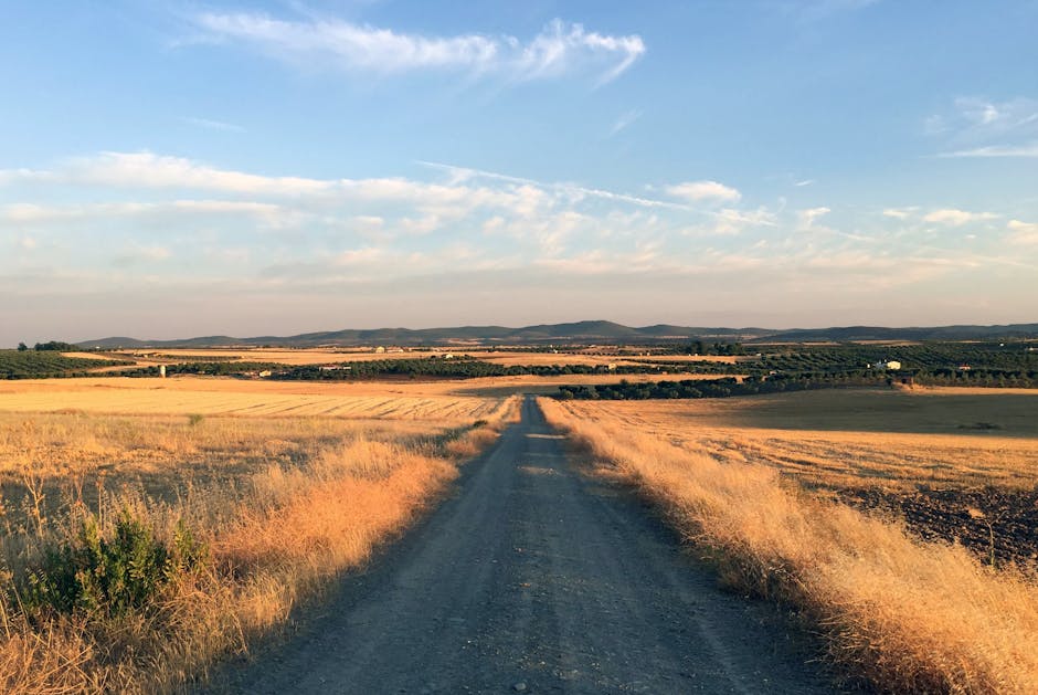 open rural landscape with blue sky Spain