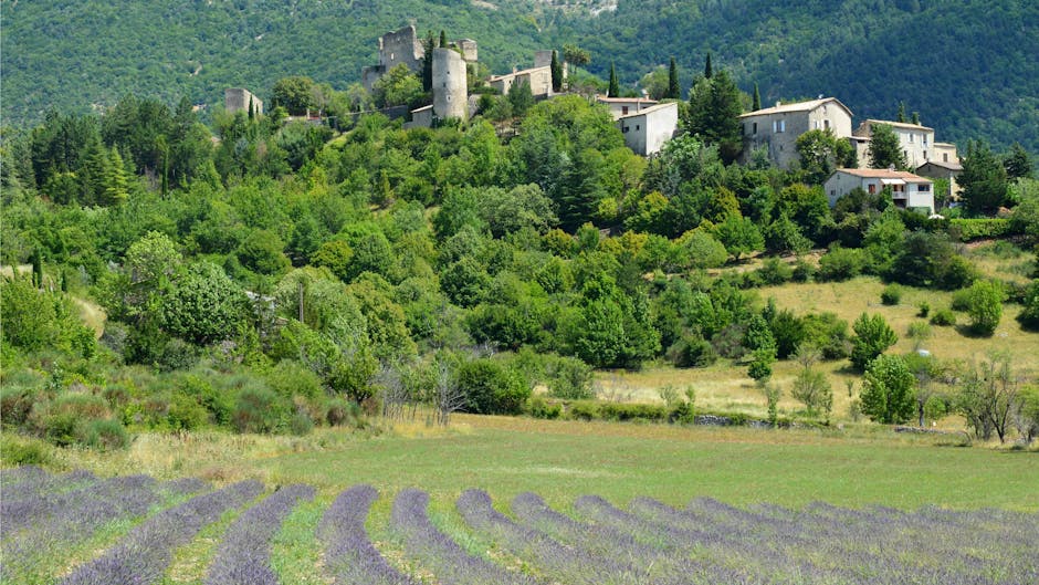 Provence lavender fields and medieval hilltop village