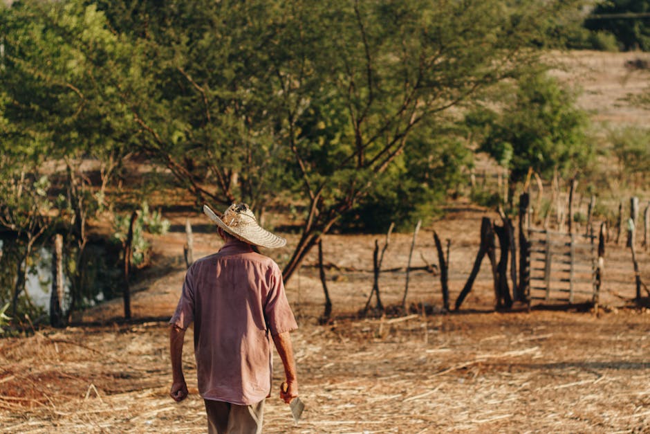 rural Brazil farmland with agricultural workers