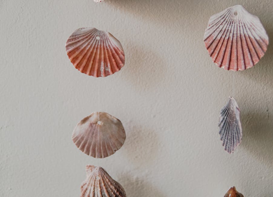 traditional Galician scallop shells arranged on stone wall