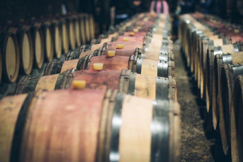 wine barrels aging in dark cellar