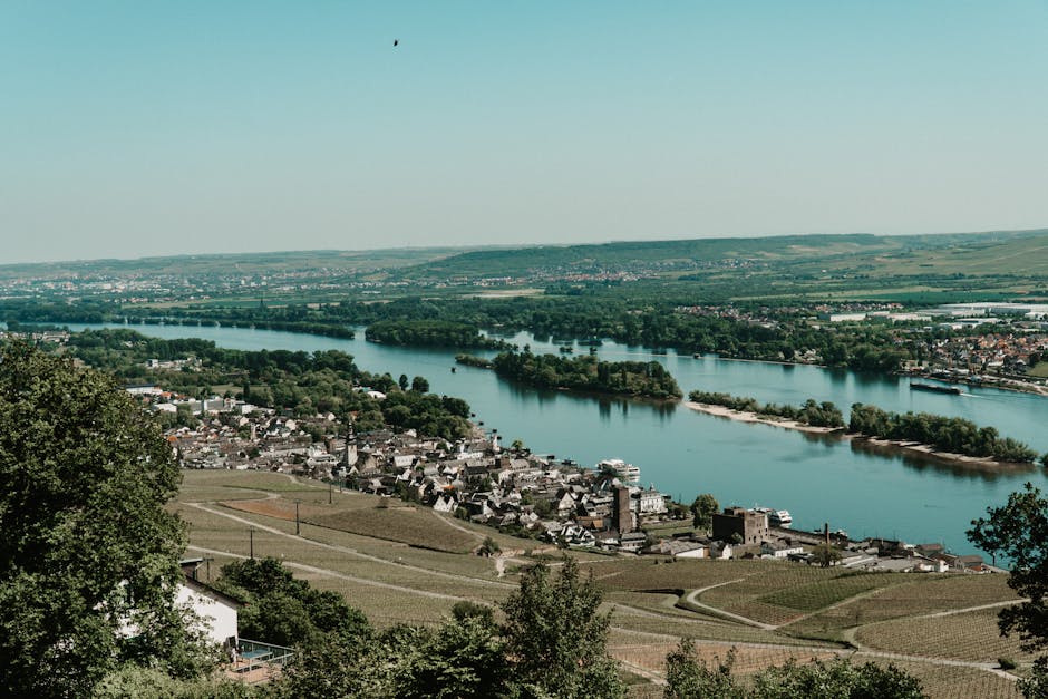 wine vineyards along Rhine river