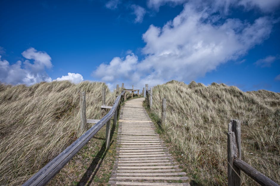 wooden walkway through North Sea mudflats