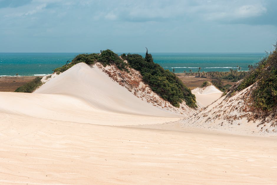 remote Brazilian coastline sand dunes